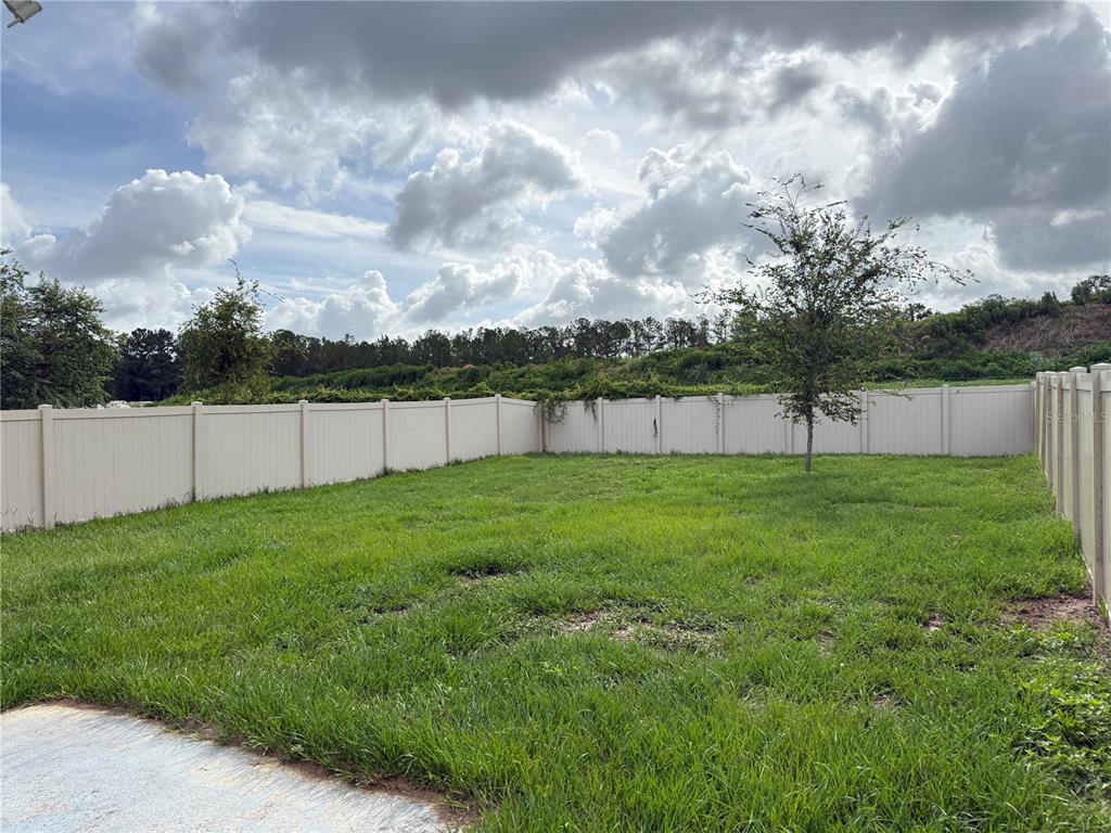 A fenced backyard features a grassy lawn and a single tree under a cloudy sky — 6616 SEAWAY DRIVE, BROOKSVILLE, FL