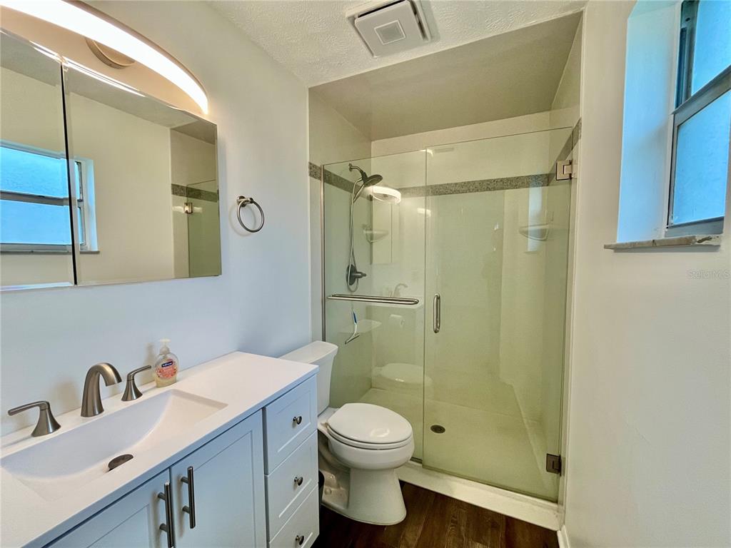 A bathroom features a white vanity, a toilet, and a glass-enclosed walk-in shower — 407 POINSETTIA AVENUE, FRUITLAND PARK, FL