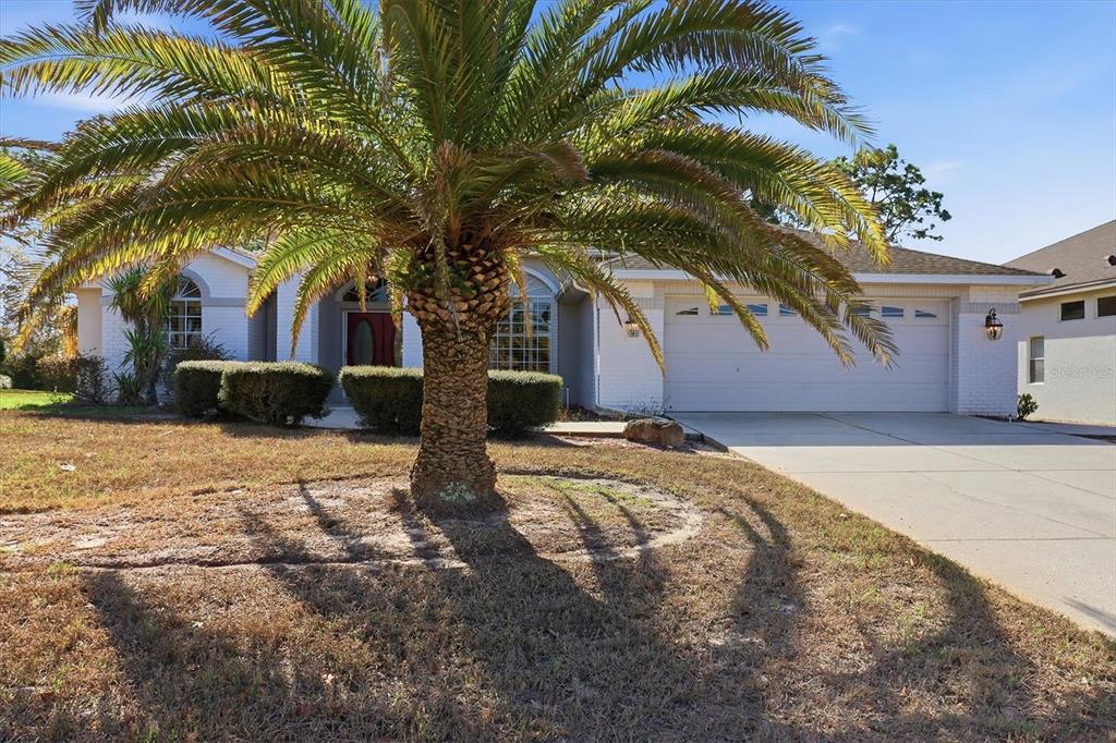 A single-story house with a white brick exterior, a large palm tree, and a garage — 9240 BUTLER BOULEVARD, WEEKI WACHEE, FL