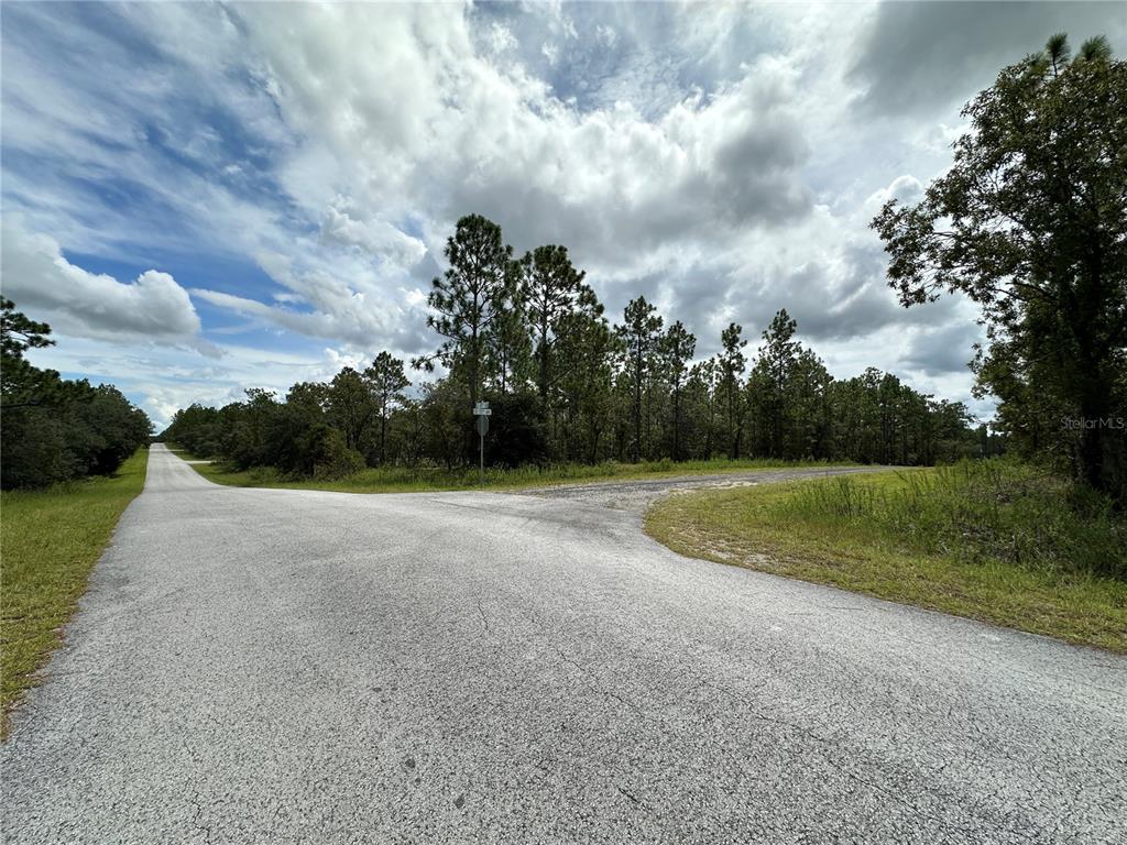 A paved road forks into two directions in a rural, wooded area under a cloudy sky — TBD SE 105TH LANE, DUNNELLON, FL