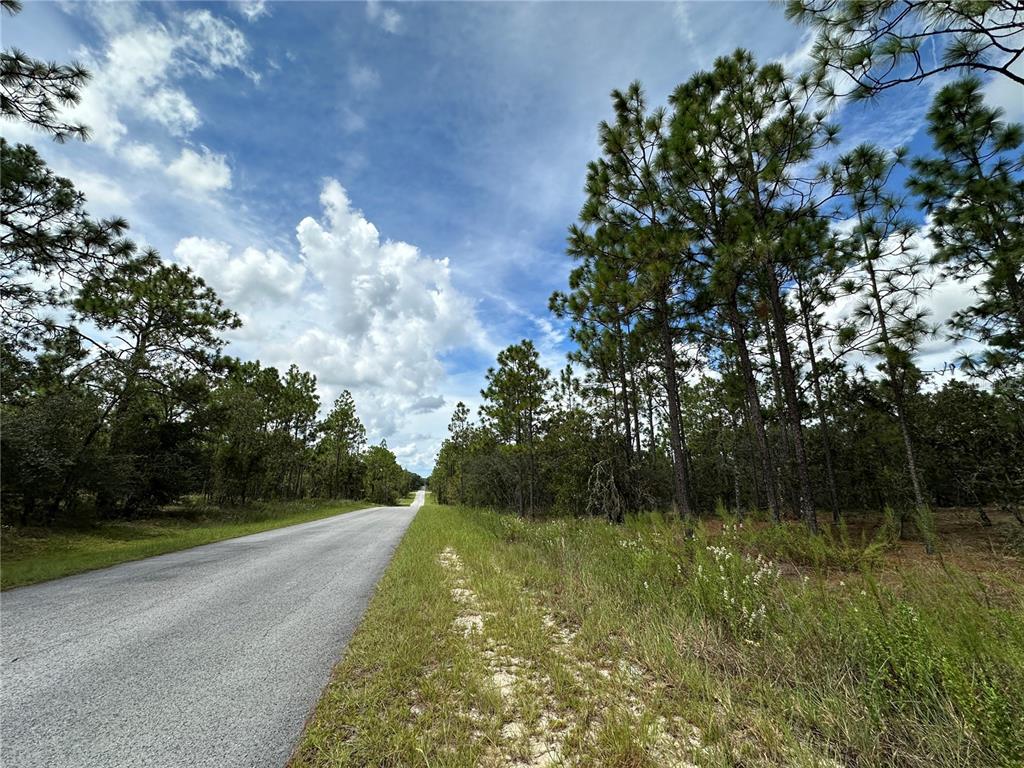 A paved road stretches through a wooded area under a blue sky with white clouds — TBD SE 105TH LANE, DUNNELLON, FL