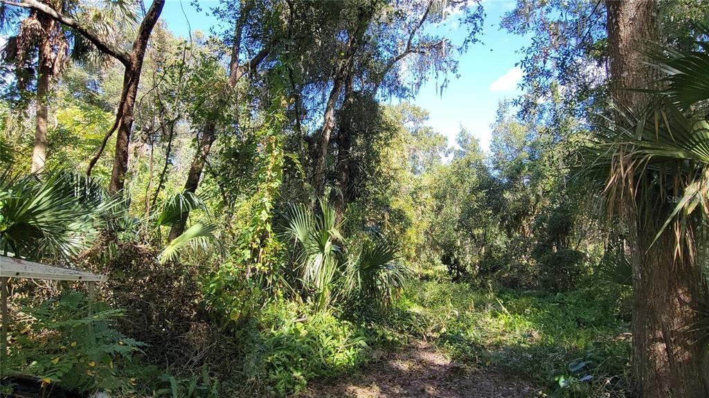 LAKEVIEW ST, DELAND, FL — photo 5 of 7