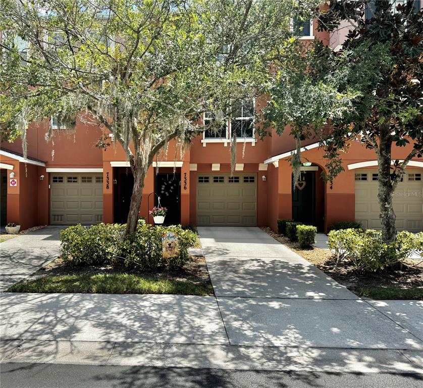 7338 BLACK WALNUT WAY