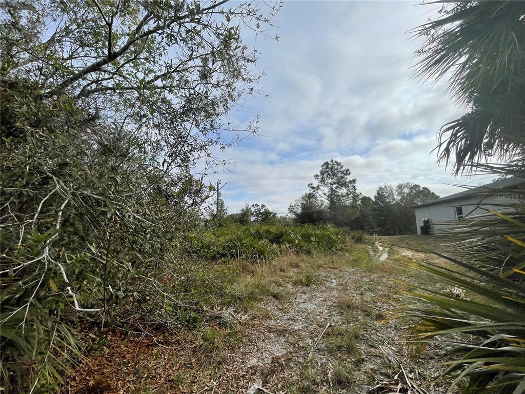 A view of a vacant, overgrown lot with trees and a neighboring house — 150 CHICKERING STREET, PORT CHARLOTTE, FL