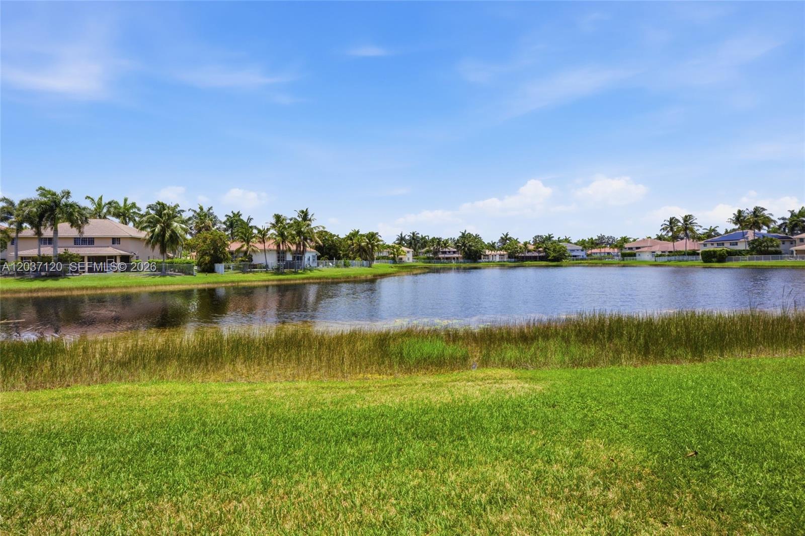 A grassy lawn overlooks a lake surrounded by palm trees and residential houses — 2048 Quail Roost Dr, Weston FL 33327, WESTON, FL