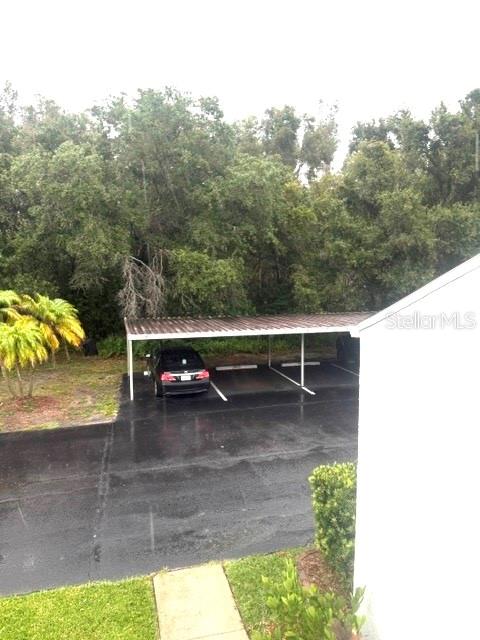 A covered parking carport sits in front of a dense line of trees — 2060 MARILYN STREET UNIT 209, CLEARWATER, FL