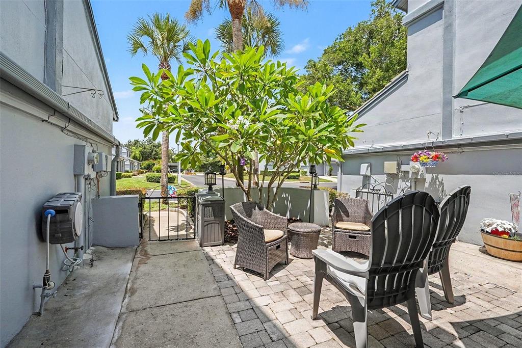A paved patio features wicker chairs, a small table, and a tree between two buildings — 4107 BRENTWOOD PARK CIRCLE, TAMPA, FL