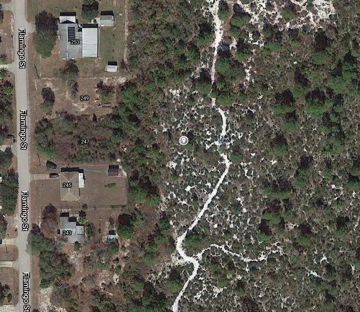 This aerial map shows a residential street with several houses and an adjacent wooded lot — 246 SANDPIPER STREET, LAKE PLACID, FL