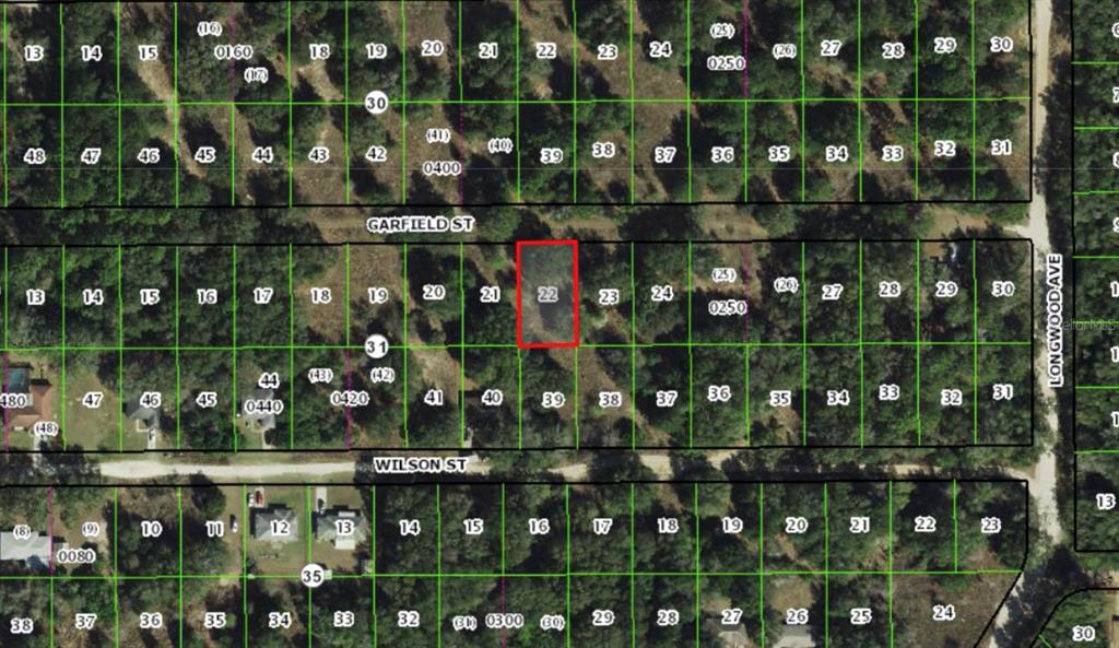 This is a map showing a highlighted rectangular land parcel among many numbered lots — 2303 GARFIELD STREET, INVERNESS, FL