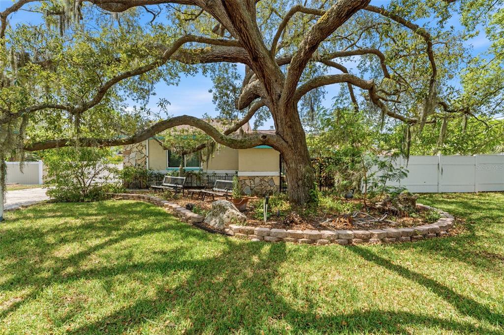 A large oak tree shades a stone-bordered garden bed with two benches in front of a house — 670 SPARROW AVENUE, PALM HARBOR, FL