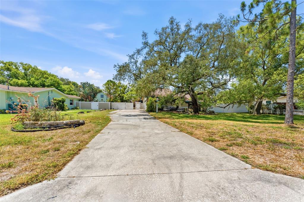 A concrete driveway leads toward a house behind a white fence under large trees — 670 SPARROW AVENUE, PALM HARBOR, FL