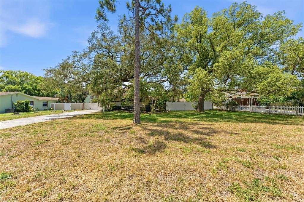 A large, grassy lot features several mature trees and a white fence in the background — 670 SPARROW AVENUE, PALM HARBOR, FL