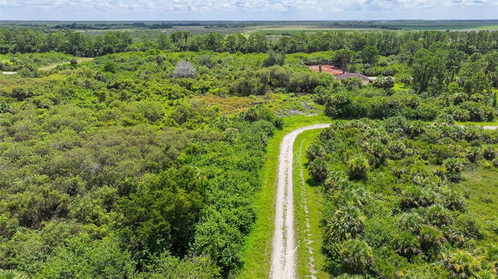 An aerial view shows a dirt path winding through dense green vegetation and wooded land — 1245 CAVALIER CIRCLE, LEHIGH ACRES, FL