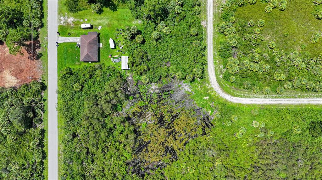 An aerial view shows a house, outbuildings, and a dirt road surrounded by dense vegetation — 1245 CAVALIER CIRCLE, LEHIGH ACRES, FL