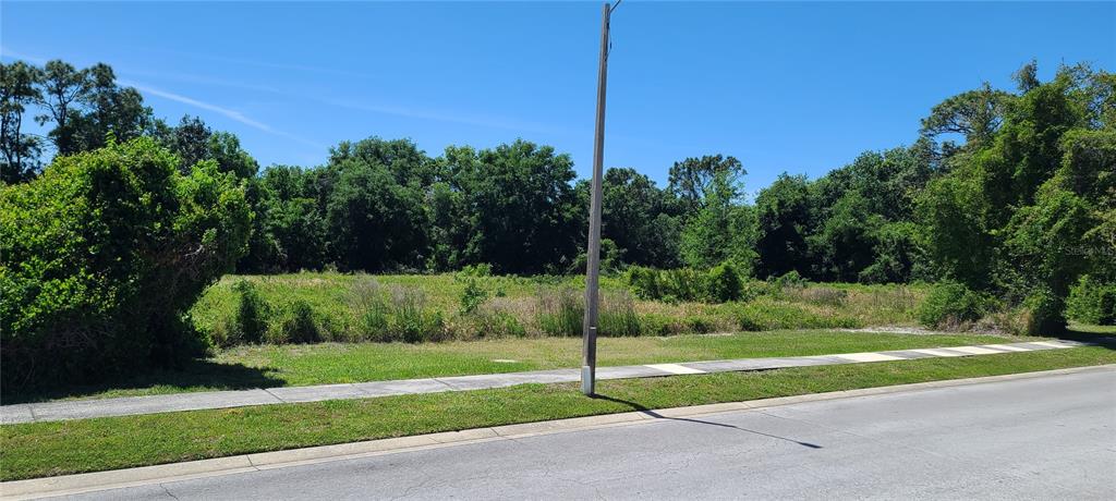A vacant, grassy lot with a sidewalk and utility pole sits beside a wooded area — 0 WOOD DOVE, LOTS 1.2.3.&4 AVENUE, TARPON SPRINGS, FL