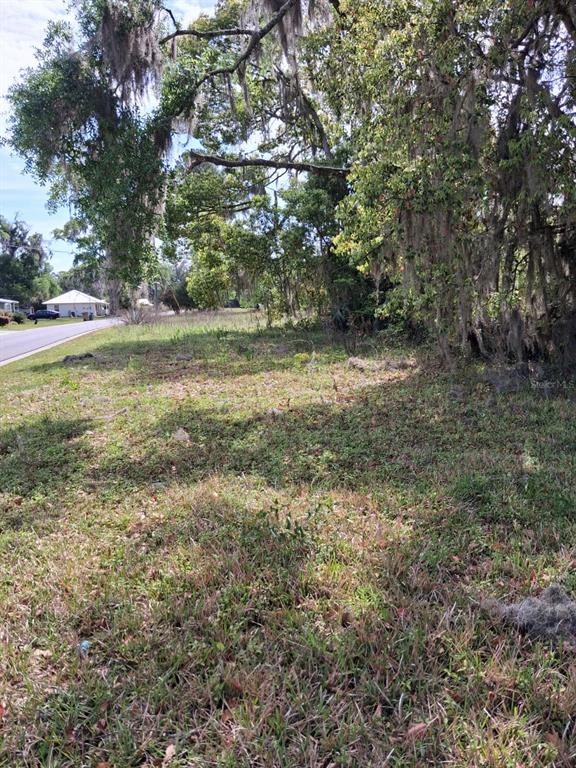 A grassy, undeveloped lot features large trees with Spanish moss next to a paved road — 552 NE GURLEY AVENUE, LAKE CITY, FL