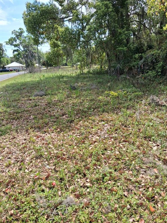 A grassy, undeveloped lot with scattered trees and vegetation sits next to a paved road — 552 NE GURLEY AVENUE, LAKE CITY, FL