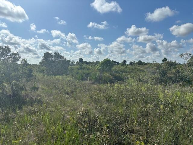 A view of an open, undeveloped grassy field with scattered shrubs and trees under a sky — 0 NW 316th Street, Okeechobee FL 34972, OKEECHOBEE, FL