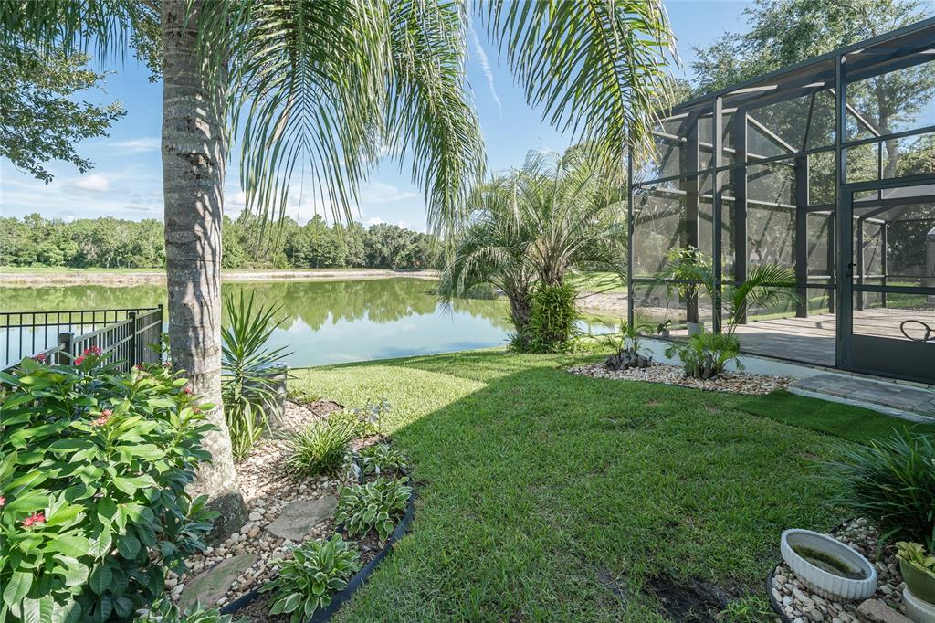 A backyard with a screened-in patio, palm trees, and a view of a pond — 4907 POINTE O WOODS DRIVE, WESLEY CHAPEL, FL