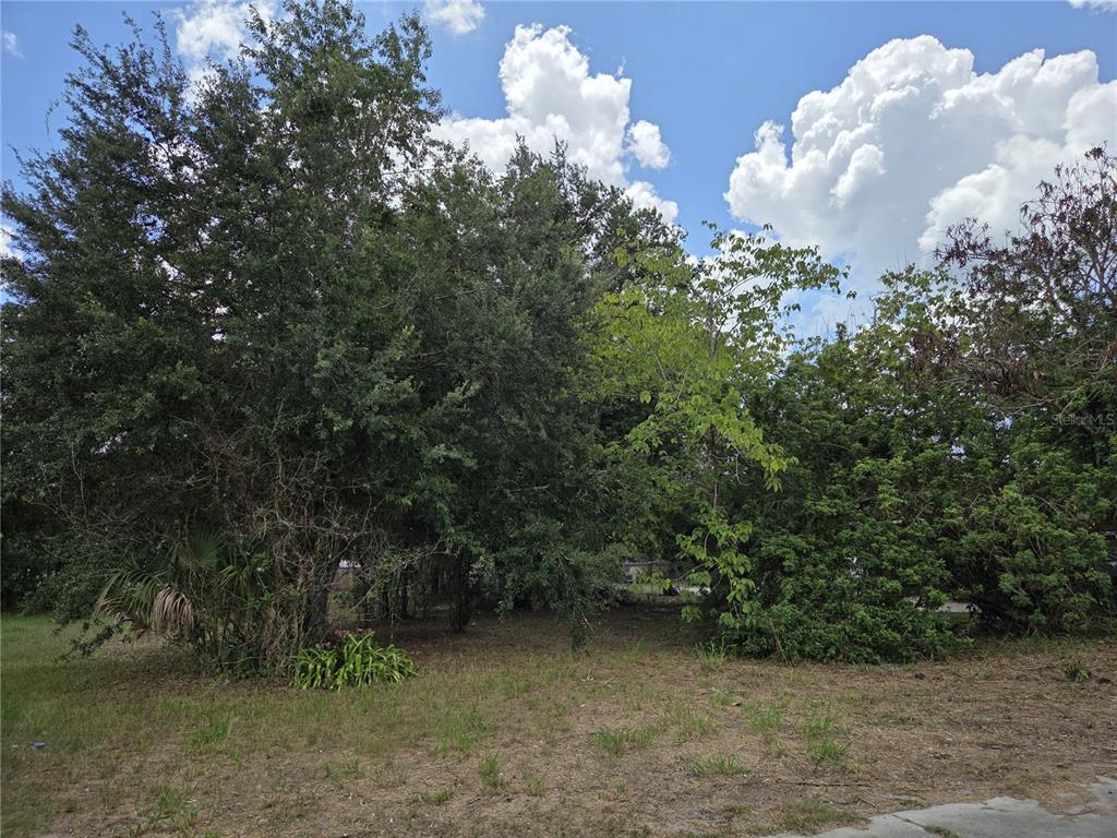 A grassy lot features a cluster of mature trees and shrubs under a cloudy sky — 505 S LANIER AVE, FORT MEADE, FL