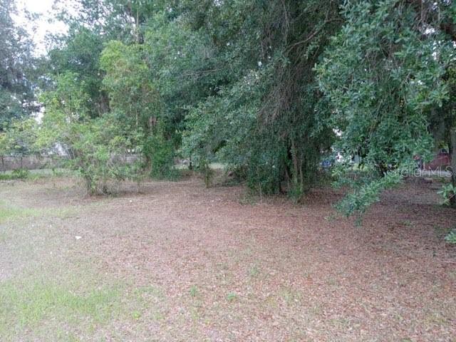A wooded, grassy lot with mature trees and a fence in the background — 505 S LANIER AVE, FORT MEADE, FL
