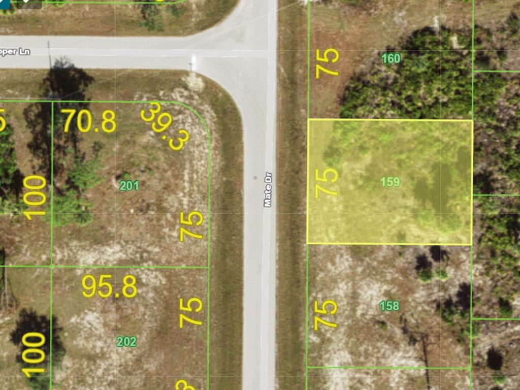 11 MATE DRIVE