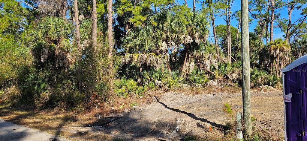 A vacant, partially cleared lot features dense palm trees and a utility pole — STOKIE AVENUE, NORTH PORT, FL