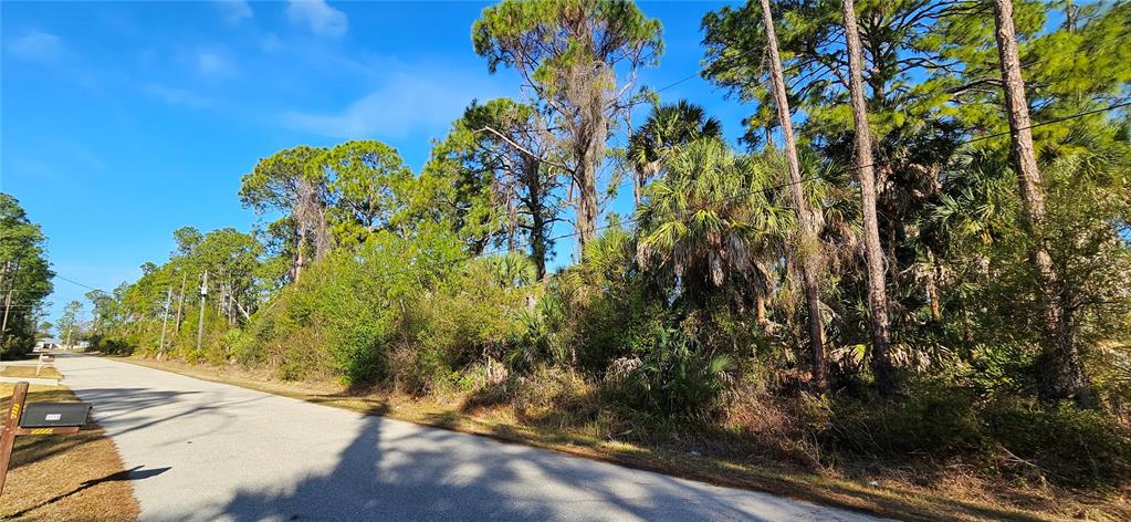 A paved road runs alongside a wooded lot with pine trees and palmettos — STOKIE AVENUE, NORTH PORT, FL