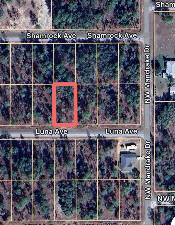 An aerial map view shows a rectangular plot of land highlighted in red — 0 LUNA AVENUE UNIT 21, DUNNELLON, FL