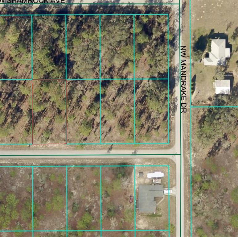 This aerial map shows a vacant, wooded residential lot outlined in red — 0 LUNA AVENUE UNIT 21, DUNNELLON, FL