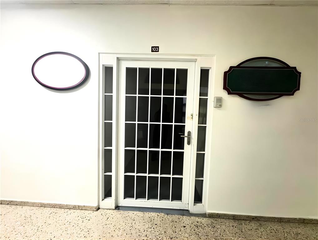 A white door with a grid pattern and the number 103 sits between two wall decorations — 204 CALLE JULIO CINTRON, AIBONITO, PR