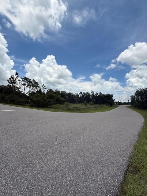 A paved road curves past a grassy lot bordered by trees under a cloudy sky — 29500 LILLIS STREET, PUNTA GORDA, FL