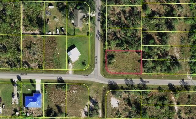 This is an aerial map view showing a vacant lot outlined in pink — 29500 LILLIS STREET, PUNTA GORDA, FL