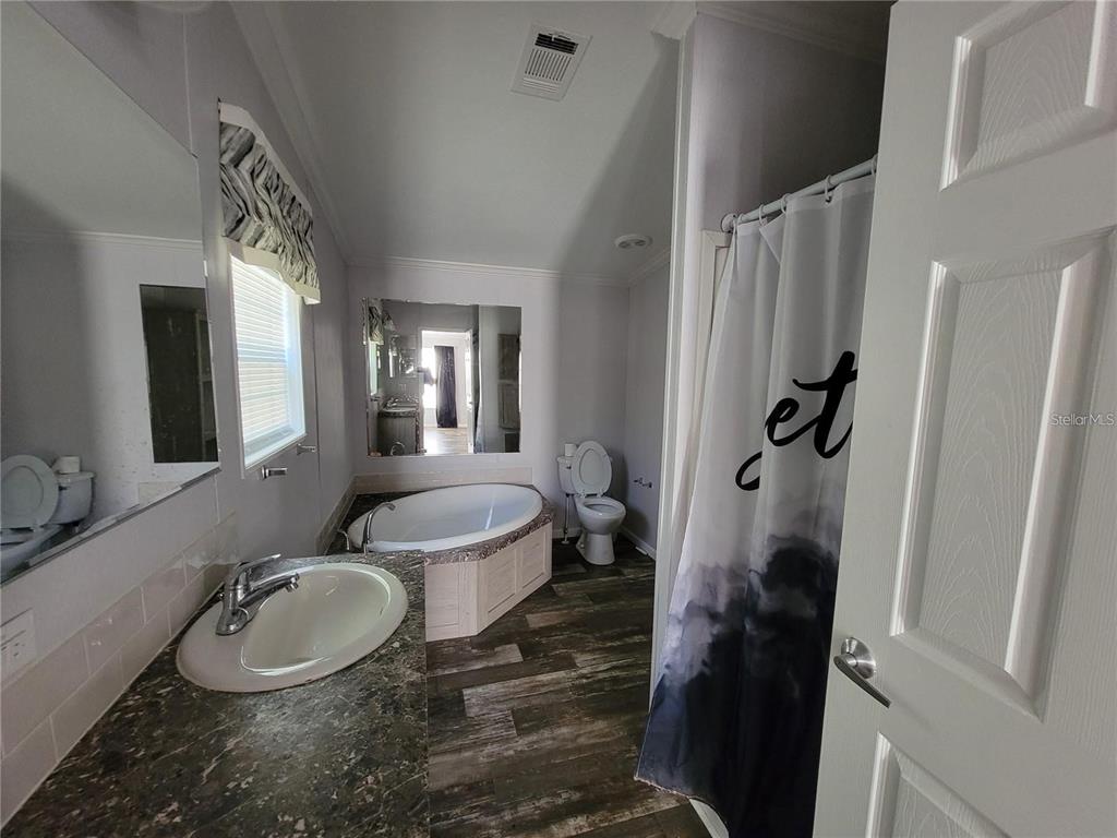 A bathroom features a vanity with a sink, a corner soaking tub, and a shower — 16625 SE 102ND AVENUE ROAD, SUMMERFIELD, FL