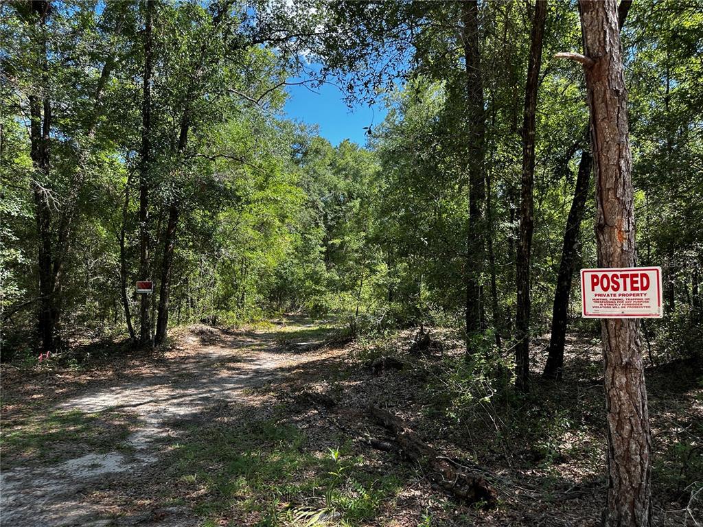 A dirt path leads into a wooded area with a posted private property sign — TBD NE 81ST STREET, BRONSON, FL
