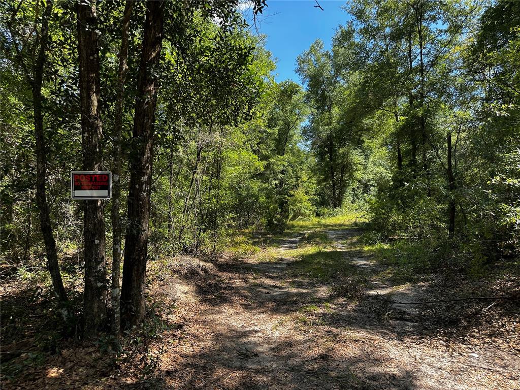 A dirt path leads into a dense, wooded area with a no trespassing sign attached — TBD NE 81ST STREET, BRONSON, FL