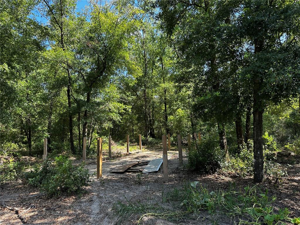 A clearing in a wooded area features several wooden posts set into the ground — TBD NE 81ST STREET, BRONSON, FL