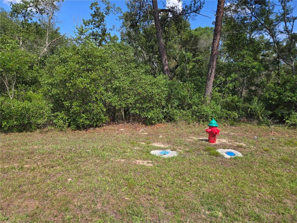A red and green fire hydrant sits on a grassy lot near dense trees — 00 MARION OAKS BOULEVARD, OCALA, FL