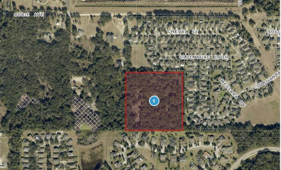 An aerial map view shows a square, wooded plot of land highlighted in red — 3016 ROBIE AVENUE, MOUNT DORA, FL