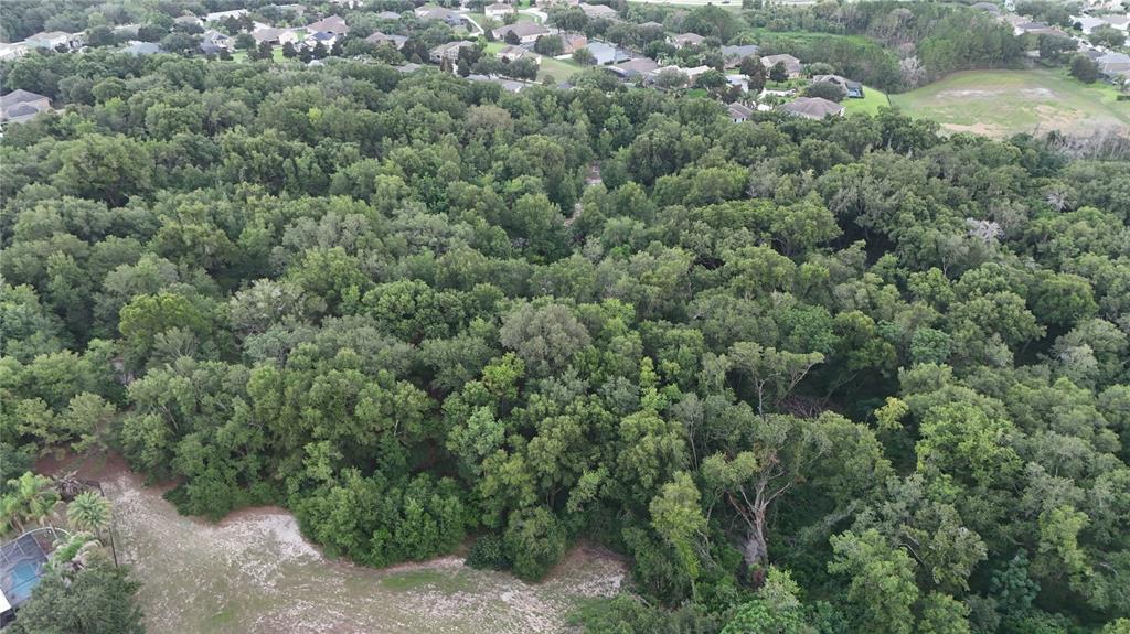 An aerial view shows a dense wooded area adjacent to a residential neighborhood — 3016 ROBIE AVENUE, MOUNT DORA, FL