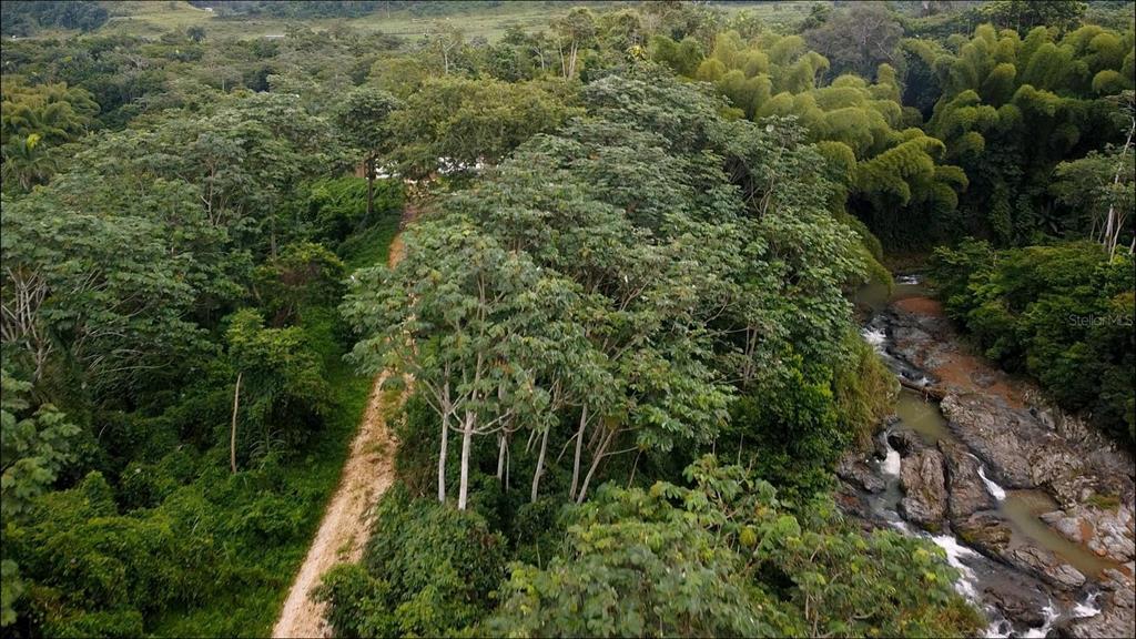 An aerial view shows a dirt path running alongside a river through a lush forest — 1 1  BO ANGELES, EL CORCHO, UTUADO, PR