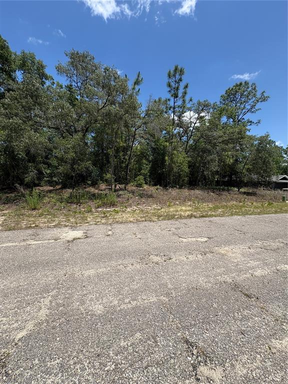 A paved road sits in front of a wooded, undeveloped residential lot under a blue sky — 10965 N MATARO AVENUE, CITRUS SPRINGS, FL