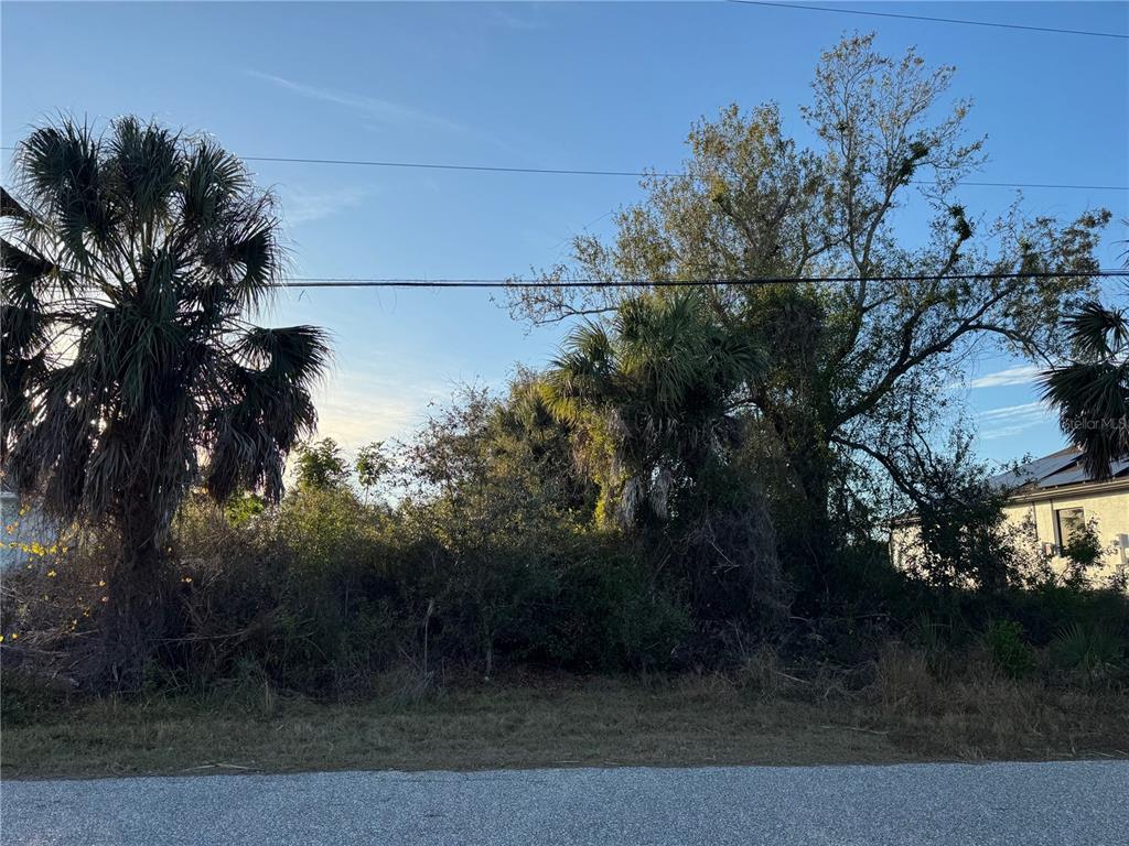 A vacant, overgrown lot features several palm trees and mature vegetation under a clear sky — 7169 BURNSVILLE ST, ENGLEWOOD, FL