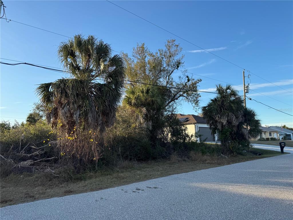 A vacant, overgrown lot with several palm trees sits beside a paved residential street — 7169 BURNSVILLE ST, ENGLEWOOD, FL