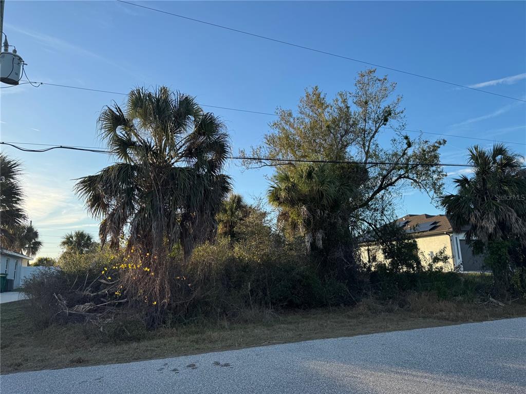A vacant, overgrown lot features several palm trees and brush under a clear blue sky — 7169 BURNSVILLE ST, ENGLEWOOD, FL