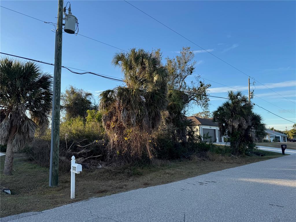 A vacant, overgrown lot with palm trees and a mailbox sits beside a paved road — 7169 BURNSVILLE ST, ENGLEWOOD, FL