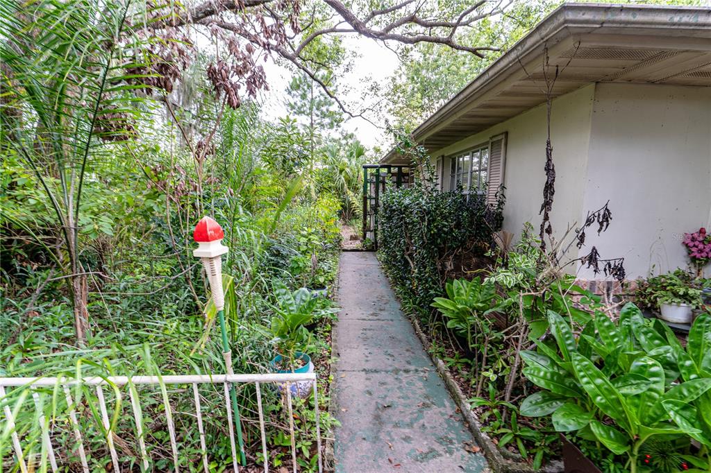 A concrete walkway leads along the side of a house through a dense, overgrown garden — 1329 HERNDON AVENUE, DELTONA, FL