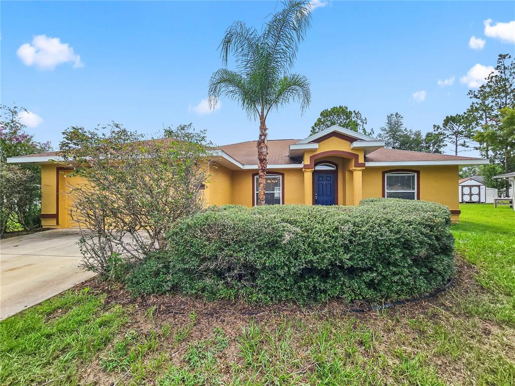 A single-story yellow house with a palm tree and a large hedge in the front — 37 PECAN RUN PASS, OCALA, FL