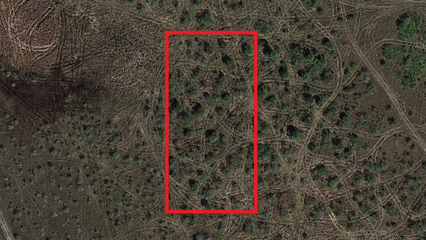 Aerial view of a rural plot of land featuring sparse vegetation and numerous tire tracks — 0 NW 310th Street, Okeechobee FL 34972, OKEECHOBEE, FL
