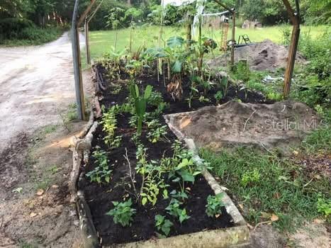 A raised garden bed with various plants sits in a yard next to a dirt path — 2406 SE 36TH STREET, GAINESVILLE, FL